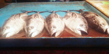 سرپرست شیلات هرمزگان خبر داد:  ارز آوری 138 میلیون دلاری صادرات آبزیان در سال گذشته