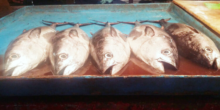 سرپرست شیلات هرمزگان خبر داد: ارز آوری 138 میلیون دلاری صادرات آبزیان در سال گذشته