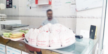 اصرار جهادکشاورزی هرمزگان به توزیع مرغ منجمد برای کاهش قیمت ها /مرغداران: جهادکشاورزی به جای فشار، از تولید حمایت کند