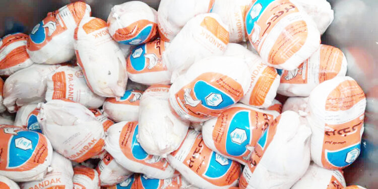 مدیرکل پشتیبانی امور دام استان خبر داد:  آغاز توزیع گسترده مرغ منجمد در هرمزگان