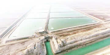 تا زمان تعیین تکلیف ایجاد شهر جدید خلیج فارس؛ واگذاری زمین های جدید برای پرورش میگو در شرق بندرعباس متوقف شده است