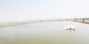 ۶ هزار هکتار مزرعه پرورش میگو تا پایان سال در هرمزگان به بهره‌برداری می‌رسد