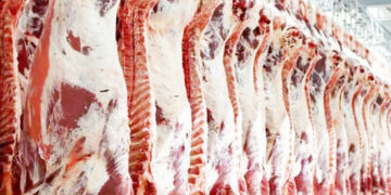 افزایش تولید گوشت قرمز در کشور  واردات تا ثبات بازار ادامه دارد