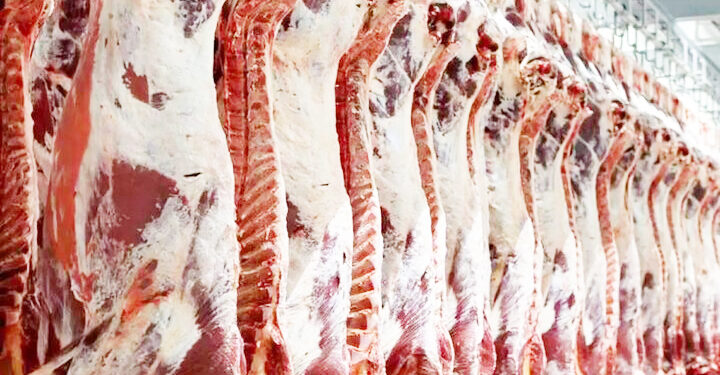 افزایش تولید گوشت قرمز در کشور واردات تا ثبات بازار ادامه دارد