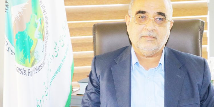 از هفته آینده ؛ طرح کاشت یک میلیارد درخت درهرمزگان آغاز می شود