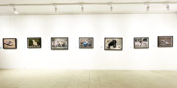 گفت‌وگوی ندای هرمزگان با مرتضی آریانژاد به بهانه برپایی اولین نمایشگاه عکس حیات وحش هرمزگان؛ دوباره با طبیعت