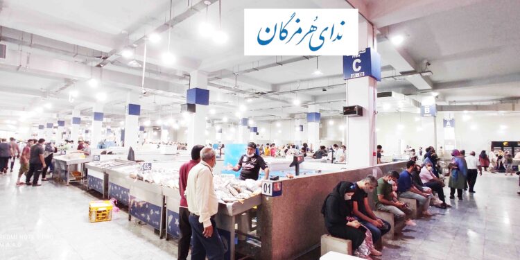 تاکید استاندار در حمایت از صیادان بومی: اجازه انحصاری شدن صادرات آبزیان را نمی دهم