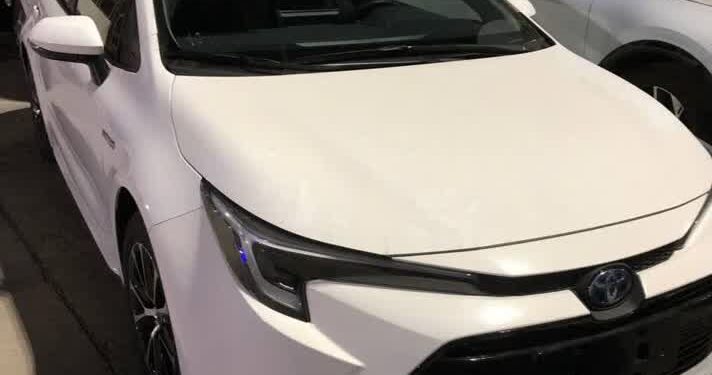 نخستین محموله خودروهای هیبریدی واردات قطعی به منطقه آزاد قشم رسید