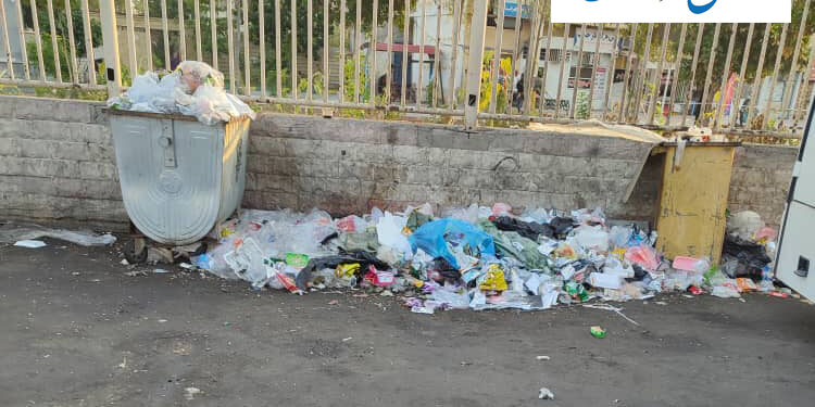 «شهر» هم خانه ماست!