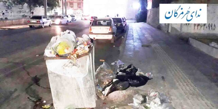 زباله، زباله گردی و  فعلن  دیگر هیچ !