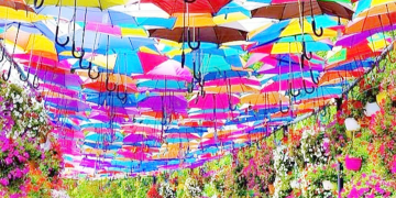 معماری بومی در آغوش فناوری؛ داستان همسایه های خلیج فارس برای شکست گرما