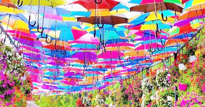 معماری بومی در آغوش فناوری؛ داستان همسایه های خلیج فارس برای شکست گرما