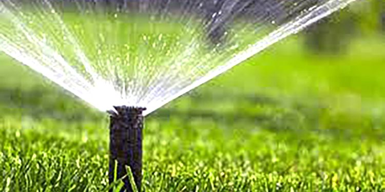 ایران بر سر دوراهی : کاهش پنجاه درصدی مصرف آب کشاورزی یا مهاجرت جمعیت به جنوب