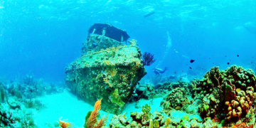 کشتی های غرق شده نجات بخش مرجان ها