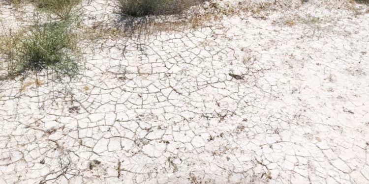 آشتی با کویر و اصلاح مسیر توسعه راهکارهایی برای خروج از بحران بی آبی