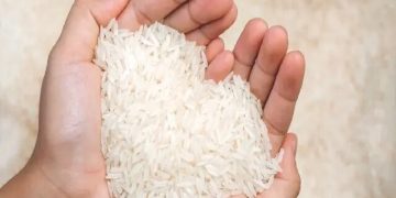 سازمان غذا و دارو: برنج هندی با مارک GTC۱۲۱۱ در فهرست محموله‌های وارداتی ثبت نشده است