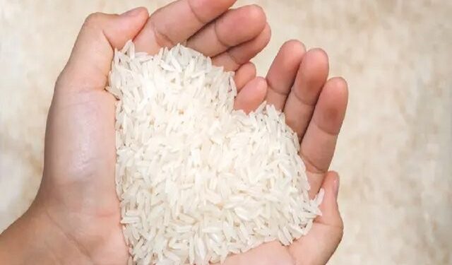 سازمان غذا و دارو: برنج هندی با مارک GTC۱۲۱۱ در فهرست محموله‌های وارداتی ثبت نشده است