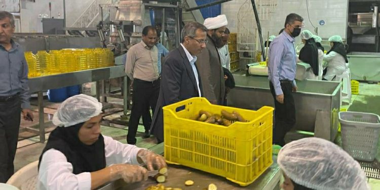 رئیس سازمان جهاد کشاورزی هرمزگان :هدایت هدفمند منابع دولتی، زمینه‌ساز تقویت تولید در حوزه کشاورزی و اشتغال پایدار است