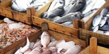 6پروژه شیلاتی در هرمزگان به بهره‌برداری رسید؛ جهشی در تولید و اشتغال