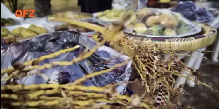 تأکید دکتر پیغامی بر حمایت از آیینهای بومی و فرهنگی جزیره